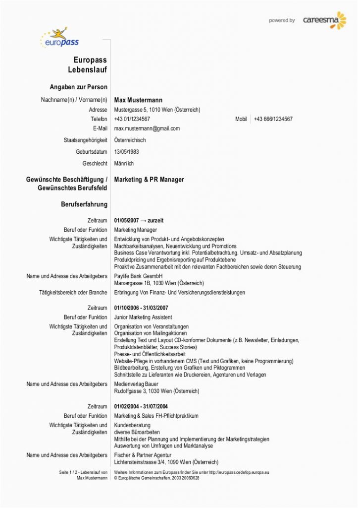 Zusätzliche Qualifikationen Lebenslauf Englisch Kreatives Lebenslauf