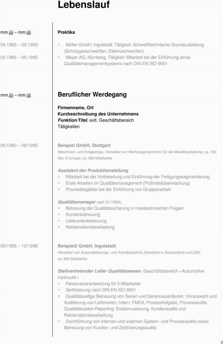 Lebenslauf Vorlage Consulting 13 Bewerbung Wissenschaftlicher