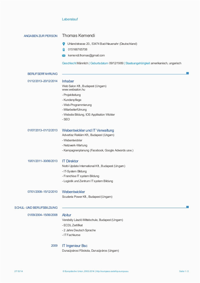 Europass Lebenslauf Vorlage Deutsch Word Lebenslauf Muster Englisch 