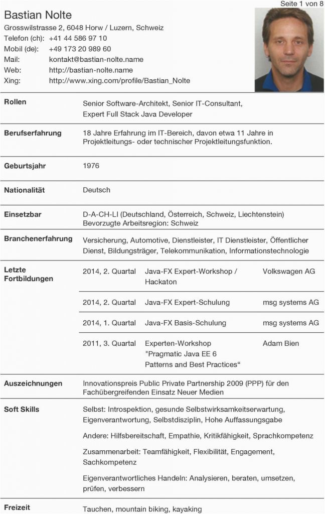 Lebenslauf software Architekt Senior software Architekt Senior It