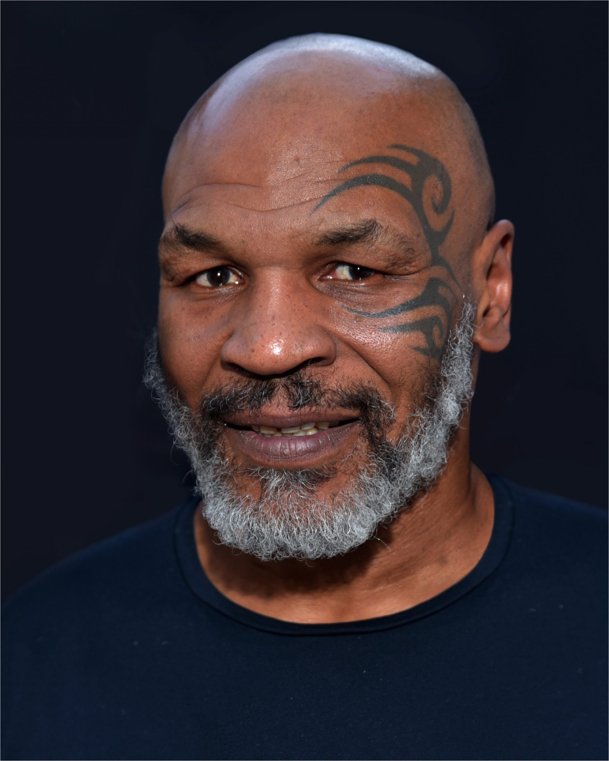 Mike Tyson Lebenslauf Deutsch Mike Tyson –