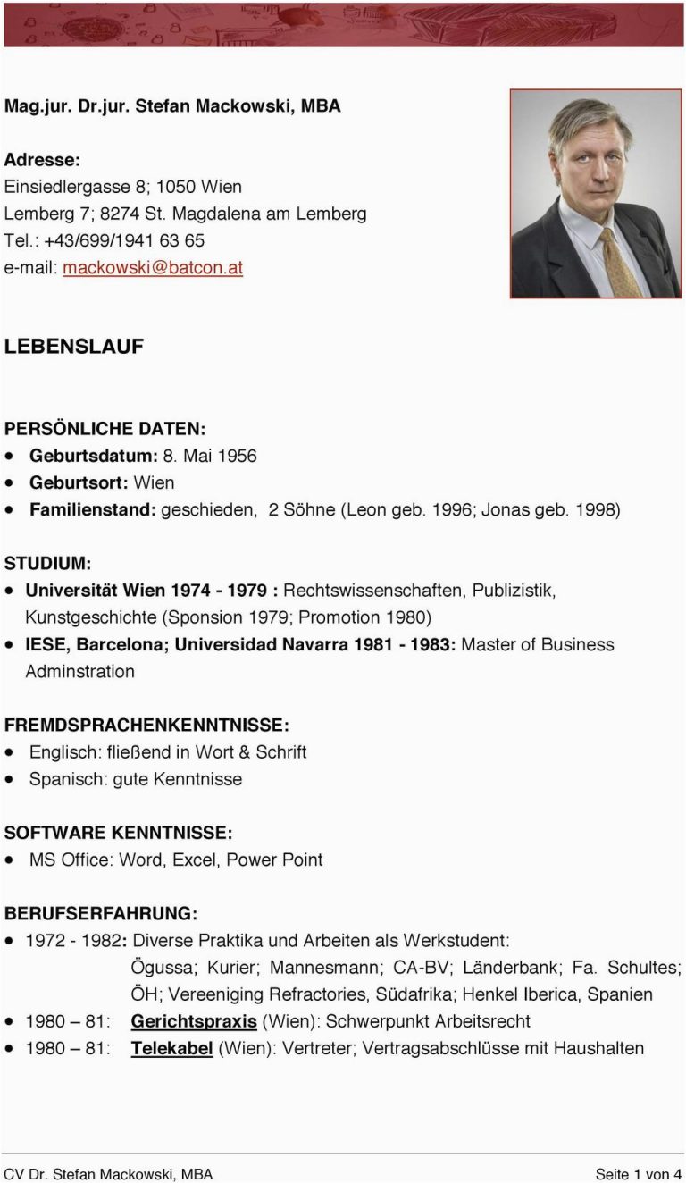 Lebenslauf Englisch Promotion Lebenslauf Mag Jur Dr Jur Stefan