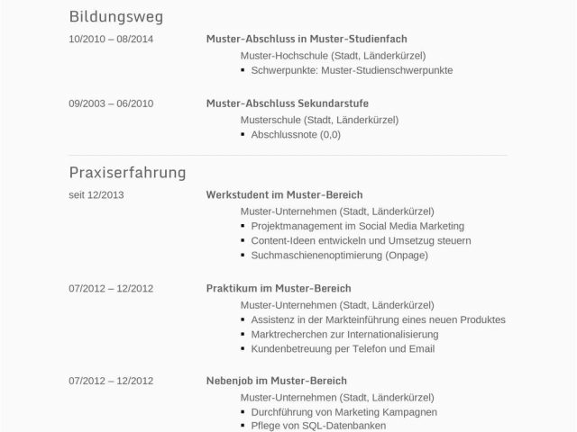 Ams Lebenslauf Vorlagen Lebenslauf Muster Tipss Und Vorlagen | lebenslauf