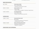 Beispiel Von Lebenslauf Auf Deutsch Lebenslauf Vorlagen & Muster Kostenloser Download Als Pdf