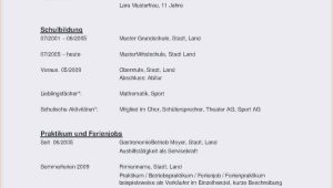 Computer Skills Lebenslauf Englisch Lebenslauf Englisch Schüler
