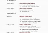Cv Deutsch Lebenslauf Curriculum Vitae Cv – 77 Lebenslauf Muster & Vorlagen 2020