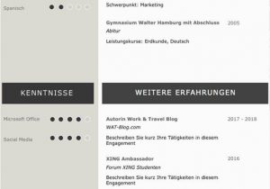 Design Thinking Im Lebenslauf Lebenslaufvorlage Cv Platinum Candidate In Deutsch Download