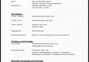 Deutsch Klasse 9 Lebenslauf Arbeitsagentur Lebenslauf Schreiben Arbeitsamt Muster