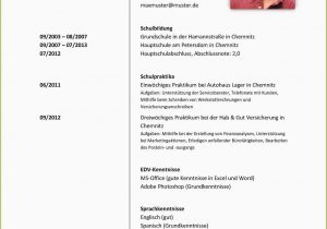 Deutsch Klasse 9 Lebenslauf Pin On Resume Template Free Able