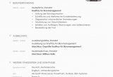 Deutsch Lernen Lebenslauf Lebenslauf Muster 48 Kostenlose Vorlagen Als Download