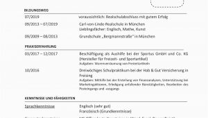 Deutsch Schularbeit Lebenslauf Und Bewerbung Beispiele Lebenslauf Positive Und Negative Beispiele