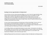 Deutschkenntnisse Lebenslauf Lagermitarbeiter M W Mit Staplerschein Cv & Bewerbung