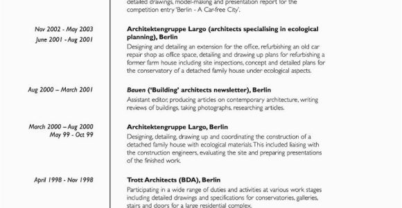 Edv Kenntnisse Lebenslauf Englisch Der Lebenslauf Curriculum Vitae Resume Focus Line