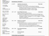 Englisch Lebenslauf Vorlagen Sitemap In 2020 Mit Bildern