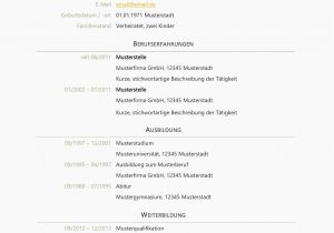 Englisch Niveau Lebenslauf Lebenslauf Deutsch In Wort Und Schrift