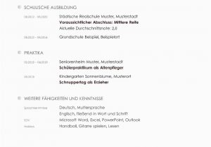 Europäischer Lebenslauf Vorlage Deutsch Word Lebenslauf Beispiele Für Perfekte Bewerbung