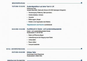 Europass Lebenslauf Tipps Awesome European Cv Template Word Download Picture Di 2020