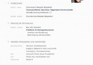 Geplanter Abschluss Lebenslauf Englisch App Entwickler In – Berufsbild Karriere & Bewerbung