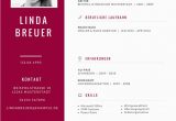 Gliederung Lebenslauf Englisch Für Studenten Dein Lebenslauf