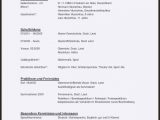 Klassenarbeit Deutsch Bewerbung Und Lebenslauf Lebenslauf Praktikum Klasse Muster Vorlage Bogy In 2020 Mit