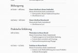 Klassisch-konservative Lebenslauf-designs Lebenslauf Zum Kostenlosen Download Mit Bildern