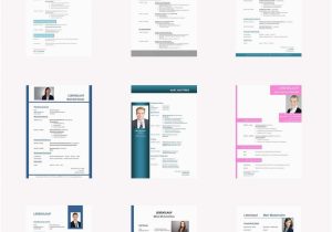 Kostenlose Vorlagen Lebenslauf Openoffice Tabellarischer Lebenslauf Vorlage Kostenlose Muster Zum