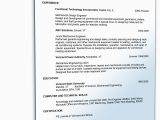 Lebenslauf Auf Englisch In Deutschland Sample Resume for Engineering Position • De Bewerbung Download