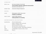 Lebenslauf Bewerbung Deutsch Lebenslauf Muster 48 Kostenlose Vorlagen Als Download