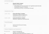 Lebenslauf.com Vorlagen Lebenslauf Vorlage Strategisch Kostenloser Download