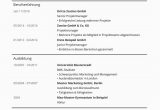Lebenslauf.com Vorlagen Lebenslauf Vorlagen & Muster Kostenloser Download Als Pdf