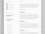 Lebenslauf Design Pages Cv Template with Professional Resume Template for