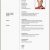 Lebenslauf Design Youtube Lebenslauf Englisch Youtube Muster Lebenslauf Vorlage