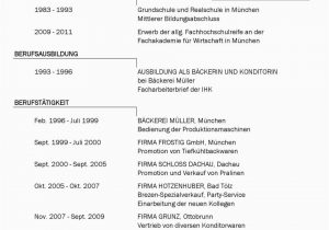 Lebenslauf Deutsch Chronologie Bewerbung Gbs Fak Tech Eis14 Recherche Online form 1