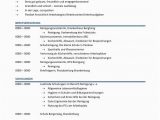 Lebenslauf Deutsch Chronologisch Lebenslauf Chronologisch Kompetenzprofil Blau Cv & Bewerbung