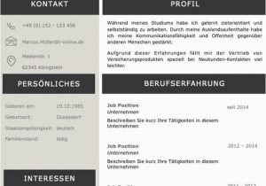Lebenslauf Deutsch Design Lebenslaufvorlage Cv Platinum Candidate In Deutsch Download
