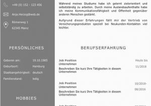 Lebenslauf Deutsch Familienstand Bewerbungsvorlage Premium Xl Für Viel Berufserfahrung