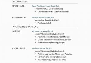 Lebenslauf Deutsch Für Ausländer Lebenslauf Muster Für Arzt