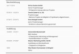 Lebenslauf Deutsch Muster Lebenslauf Vorlagen & Muster Kostenloser Download Als Pdf