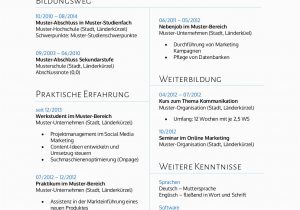 Lebenslauf Deutsch Online Bewerbungsmuster Für Bwl