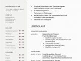 Lebenslauf Deutsch Studium Lebenslauf Muster 48 Kostenlose Vorlagen Als Download