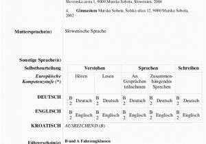 Lebenslauf Deutsch Vs Englisch Europass Lebenslauf Englisch