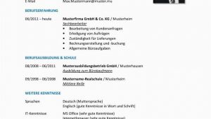 Lebenslauf Deutsch Wie Muttersprache Der Tabellarische Lebenslauf Aufbau Inhalt format