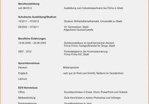 Lebenslauf Englisch Ausbildung 30 Lebenslauf Sprachen Deutsch Angeben In 2020 with Images