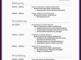 Lebenslauf Englisch In Deutschland Lebenslauf Modell Muster 2019 Word Pdf Download Modelle