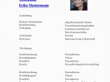 Lebenslauf Englisch In Wort Und Schrift Erika Mustermann Mein Lebenslauf Auf Lebenslauf Online