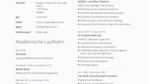 Lebenslauf Englisch Persönliche Angaben Cv Eng C Mussato Ed05 A15 De