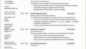 Lebenslauf Englisch Resume Vorlage Sitemap In 2020 Mit Bildern