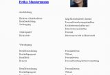 Lebenslauf Englisch Wort Und Schrift Erika Mustermann Mein Lebenslauf Auf Lebenslauf Online
