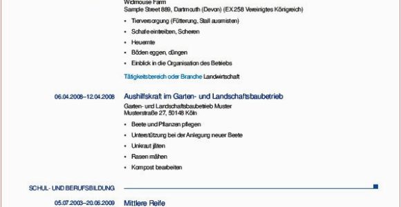 Lebenslauf Europass Deutsch Beispiel 17 Wertvoll Lebenslauf Deutsch Italienisch Fotos Di 2020