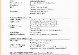 Lebenslauf Fremdsprachen Deutsch Antrag Auf Akteneinsicht Muster Antragauferstattung